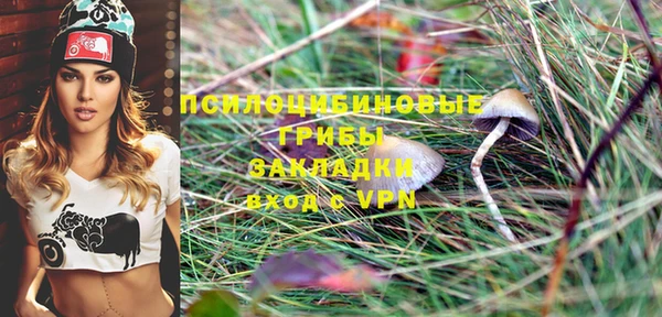 гидропоника Алзамай